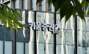 [금융그룹/다우키움④] 위험은 되풀이...공시 곳곳 오류 투성이 - 뉴스 썸네일 이미지
